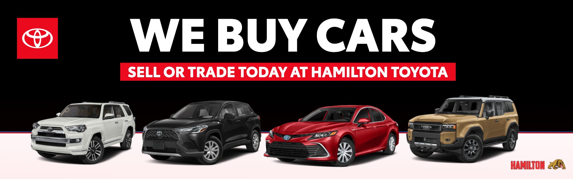 We Buy Cars